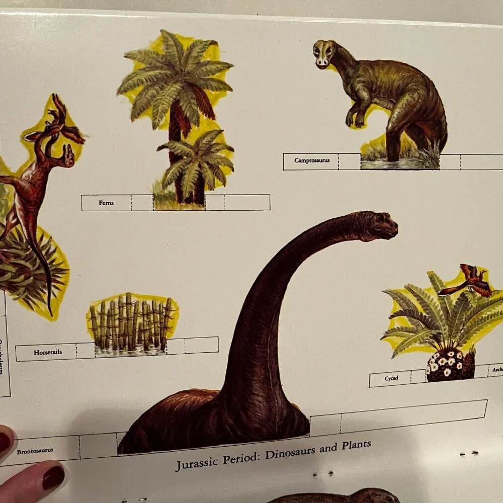 Dinosaur Dioramas to Cut and Assemble (2 Complete‎ 3-D Scenes) (copyright 1983)
